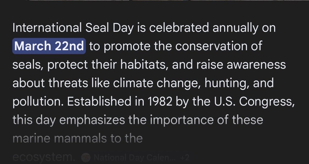 Maeve Morveren 🧜‍♀️🦭🤍 MONITORING COVER tweet media