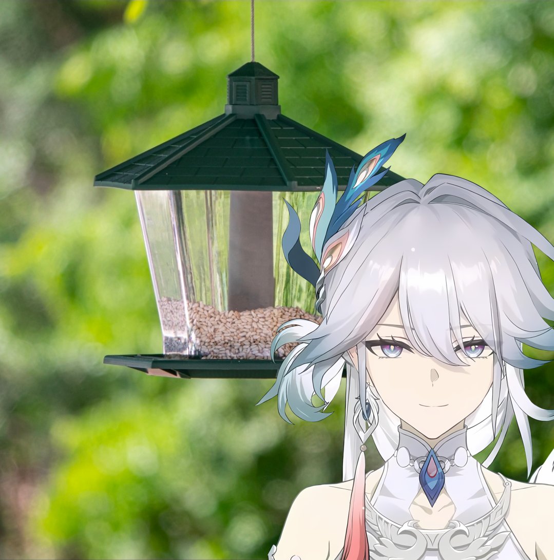 ๐ญ๐๐๐ค ๐๐ช๐๐ฃ๐๐ฆ tweet media