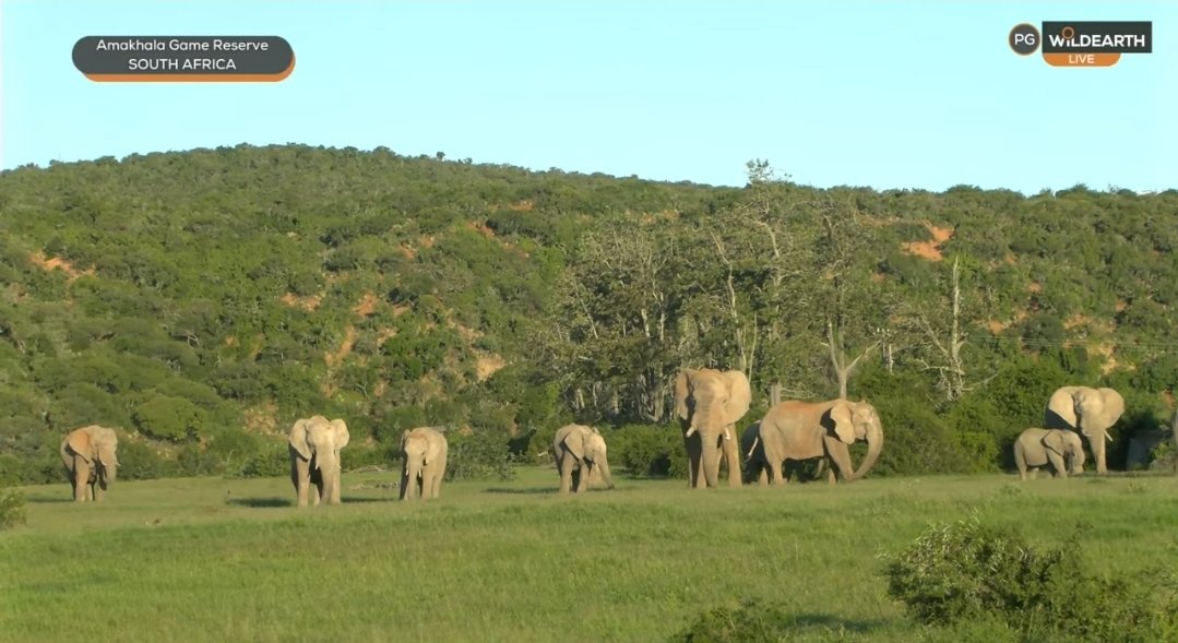 Dark Mane Lover tweet media