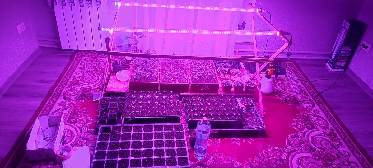 🕶️Wesker's Glasses🏴☠️ tweet media