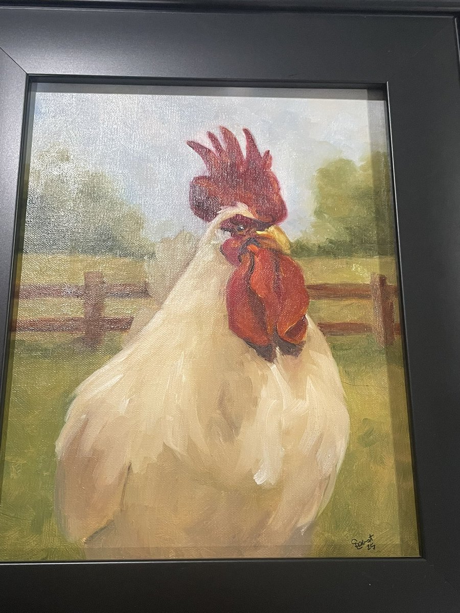 expert youtube viewer tweet media