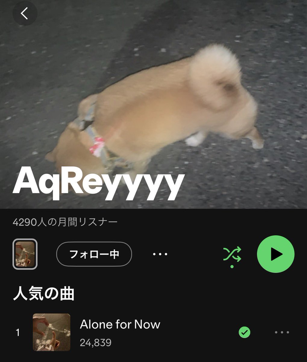 AqReyyyy(あくれい) tweet media