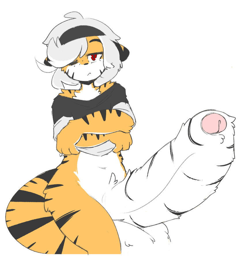 🖤 BlackCat 🖤 tweet media