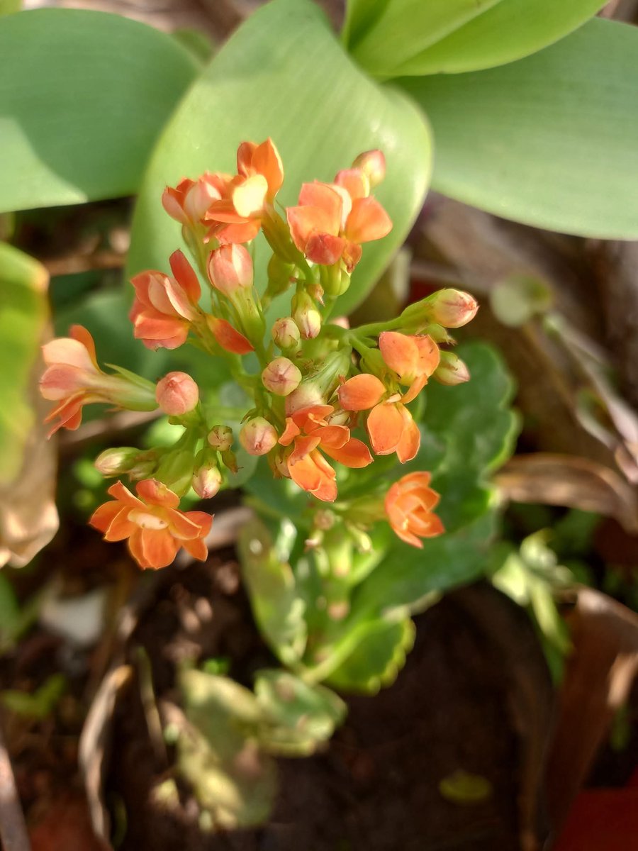 María Elena R-A tweet media