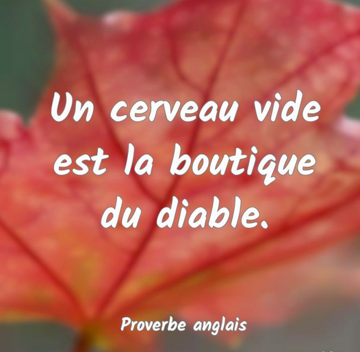 Et ça continue...🔎 tweet media