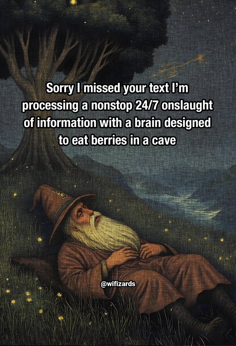 World Wise Wizards tweet media