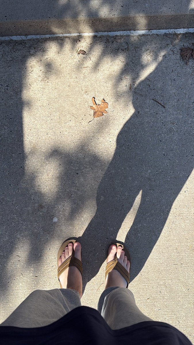 Curtis Lewis III tweet media