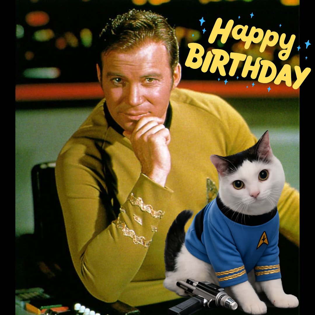 🌈Cheezeburger🌈Mr. Jingles🌈TonyCat🌈Cheeseburger tweet media