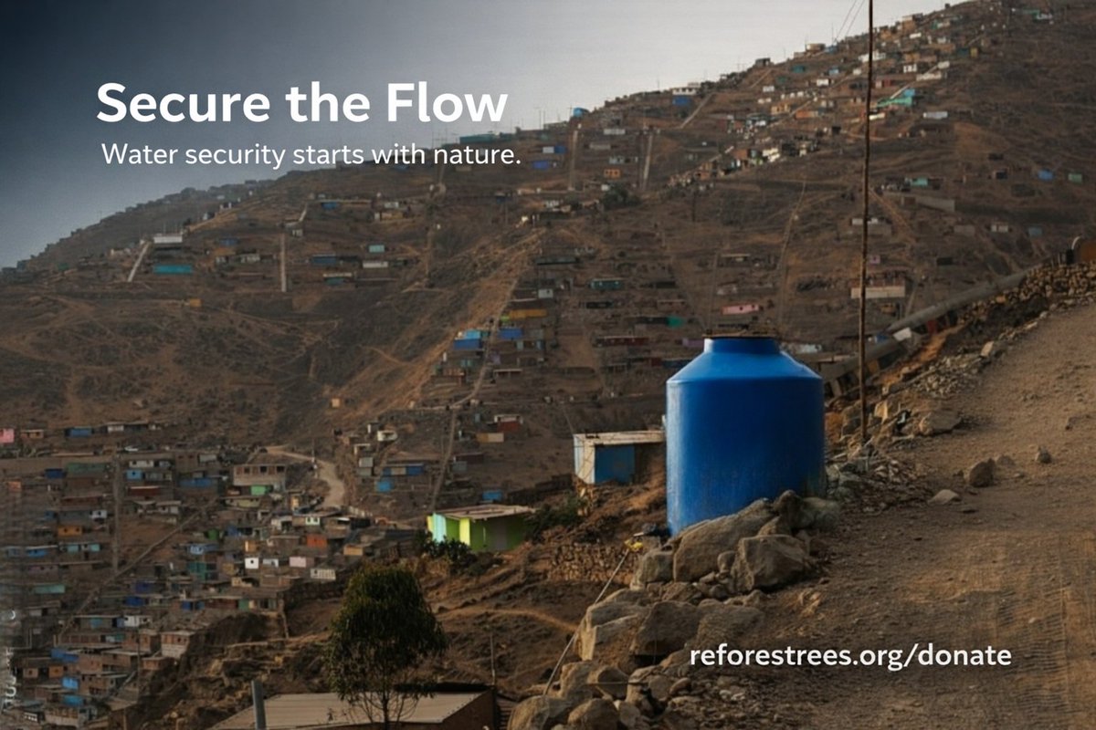 Reforest Trees tweet media