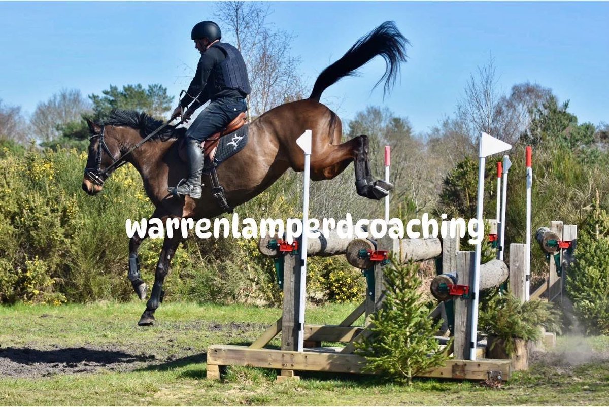 Warren Lamperd Coaching tweet media