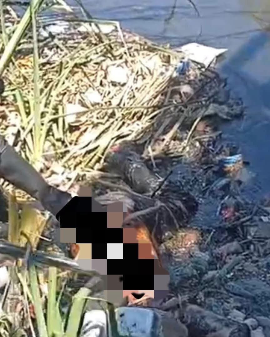 Direct Hendrick tweet media