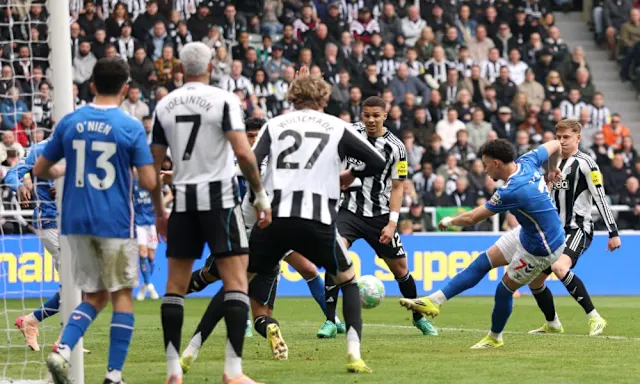 Team Trizon tweet media