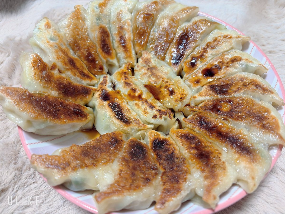 pinassiy's tweet photo. 昨日の夜の手作り餃子
嬉しくて写真撮る前に一個つまみ食いしてしまった、、 https://t.co/McoPRrnE0b