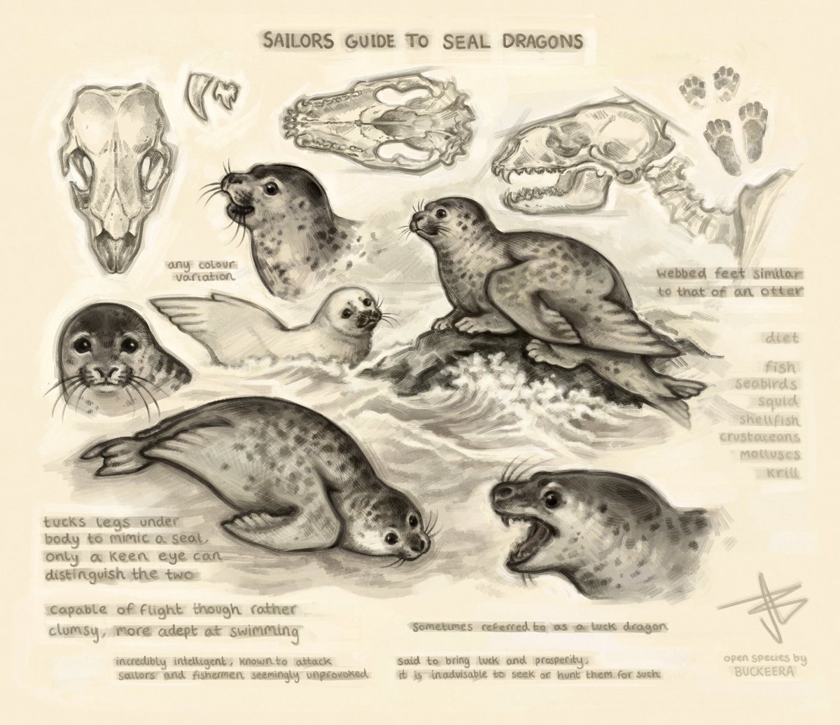 Buckeera tweet media