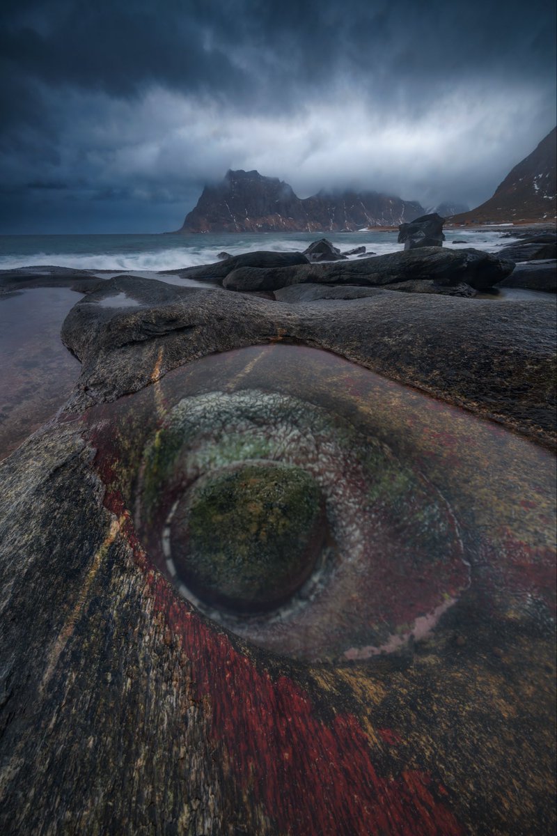 Carlos Solinis Camalich tweet media