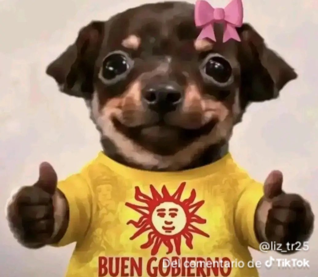 Calo 🎾 tweet media