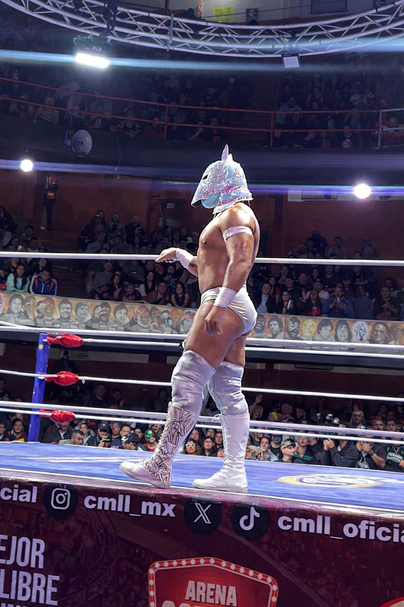 esfingecmll tweet media