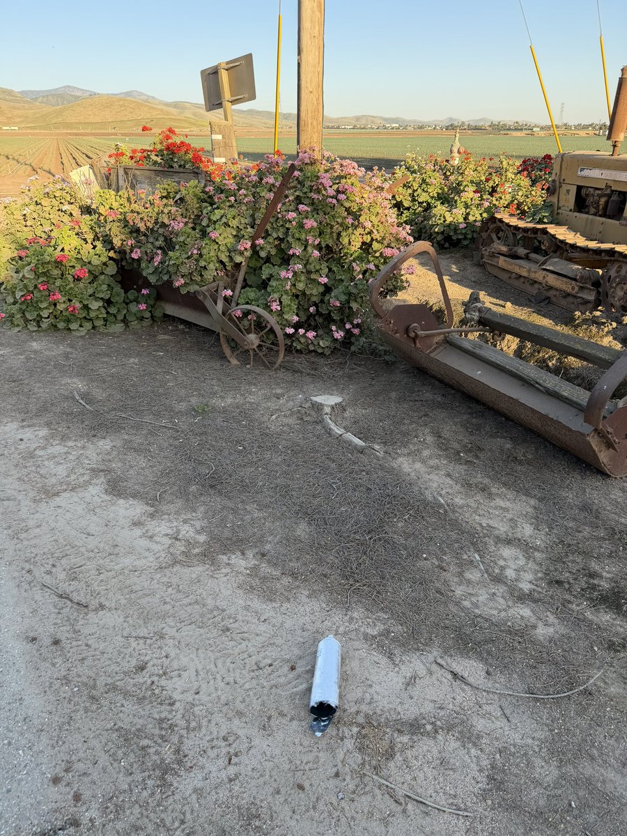 CHRIS in the Concierge Lounge tweet media