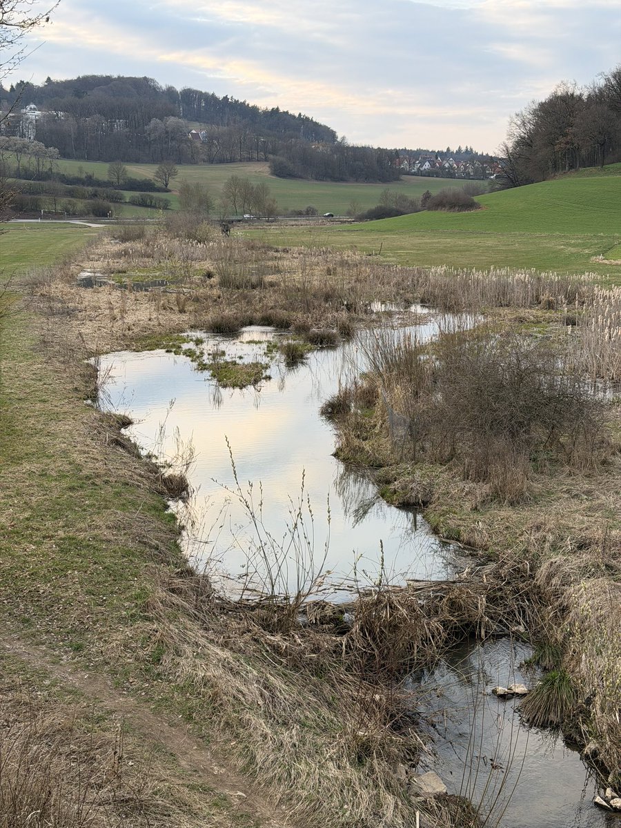 Markus Raum tweet media