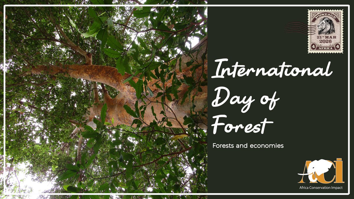 Africa Conservation Impact tweet media