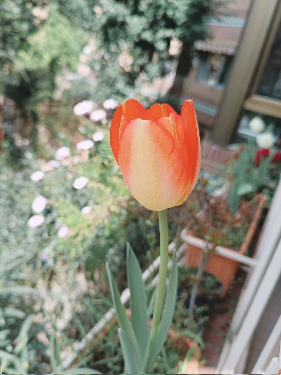 paula 💌 tweet media