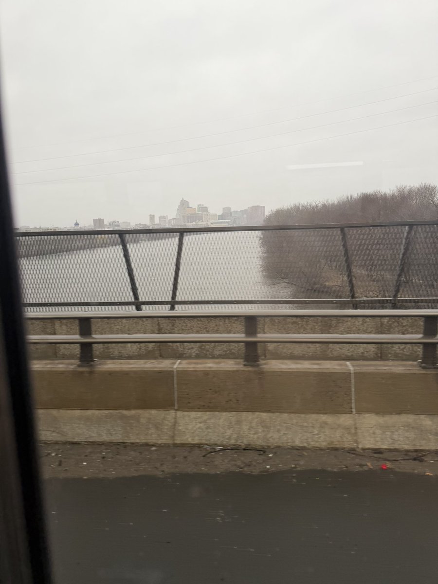 professorP tweet media