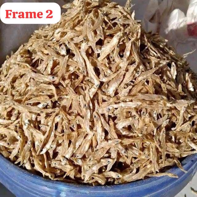 TeamFuloZim/Global tweet media