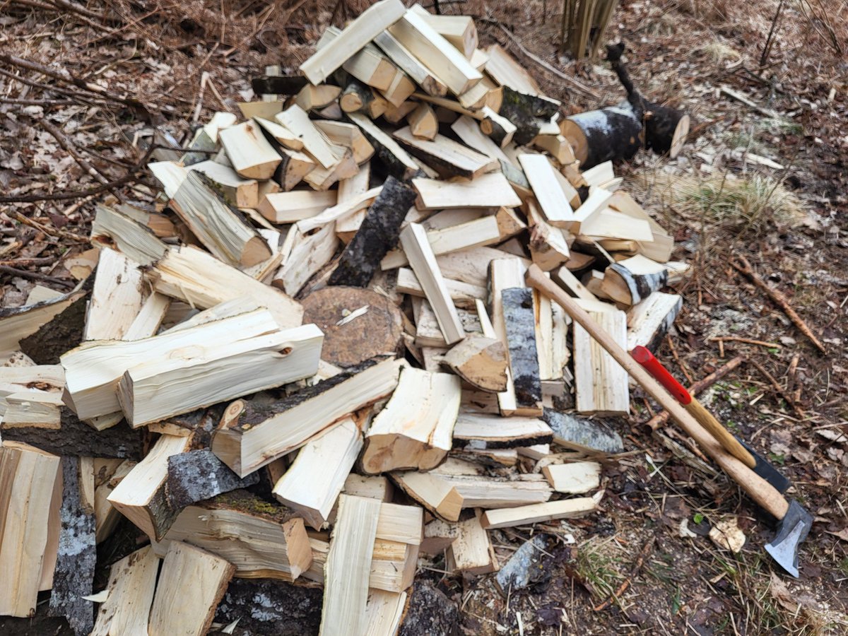 S:t Måns tweet media