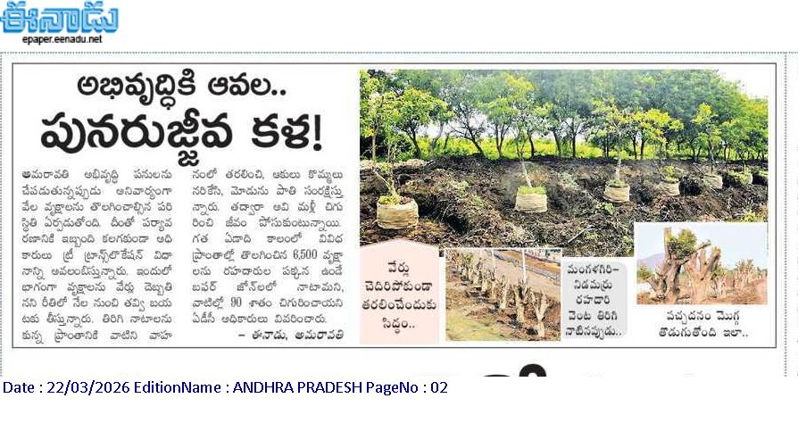 mana_Prakasam's tweet photo. "నరికేయడం కాదు.. నూతన జన్మనివ్వడం! #అమరావతిలో 'ట్రీ ట్రాన్స్‌లొకేషన్' ద్వారా 6,500 చెట్లకు పునరుజ్జీవం. అభివృద్ధి, పర్యావరణం రెండూ సమన్వయంతో ముందుకు సాగుతున్న వేళ. 🌳✅ 

#Amaravati #NatureProtection #APGrowth #TreeTranslocation #SustainableDevelopment #AmaravatiRising #EcoFriendlyAmaravati #GreenCapital #AmaravatiDevelopment #AndhraPradesh #EnvironmentFirst