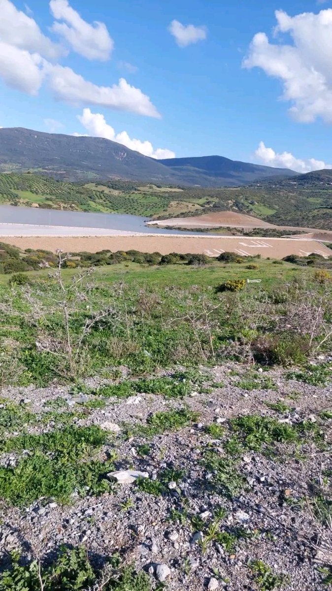 #مساء_الخير_والسعادة 
🇾🇪
#Yemen