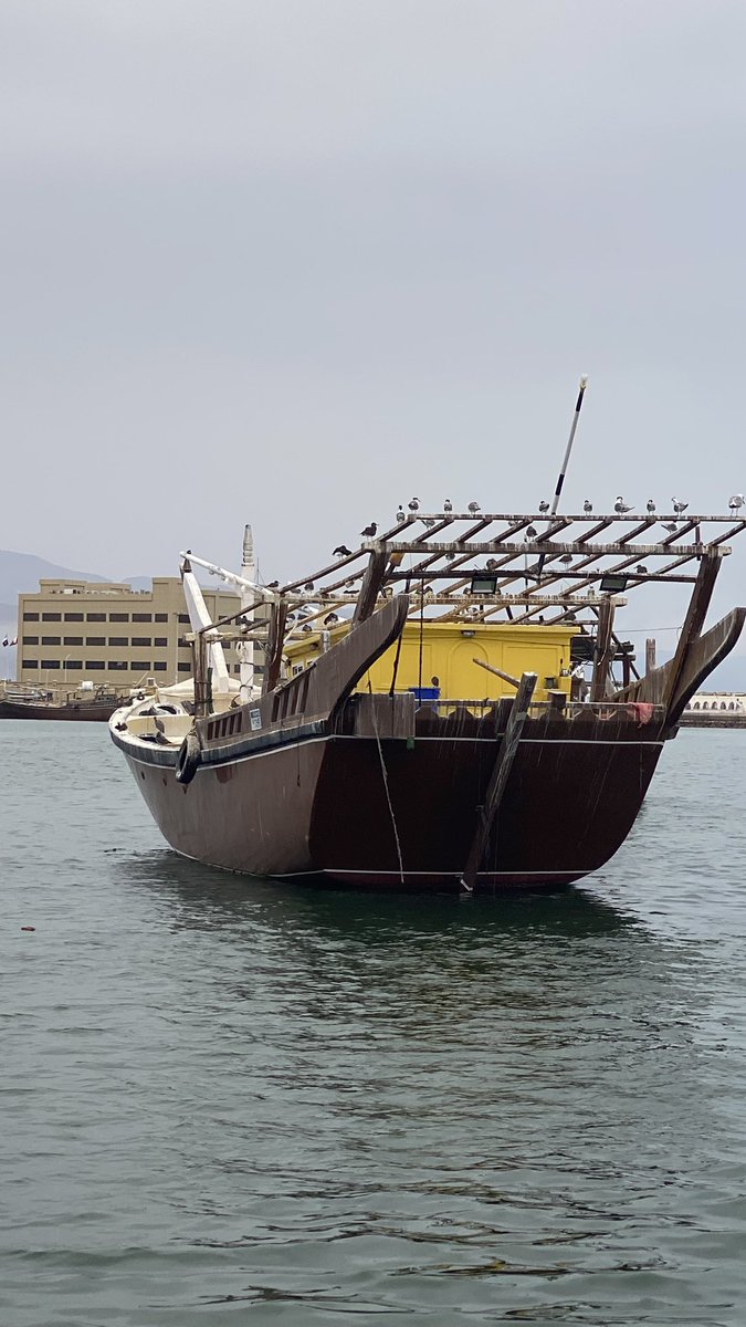 💜 الحساس 🎻🎼💜 tweet media