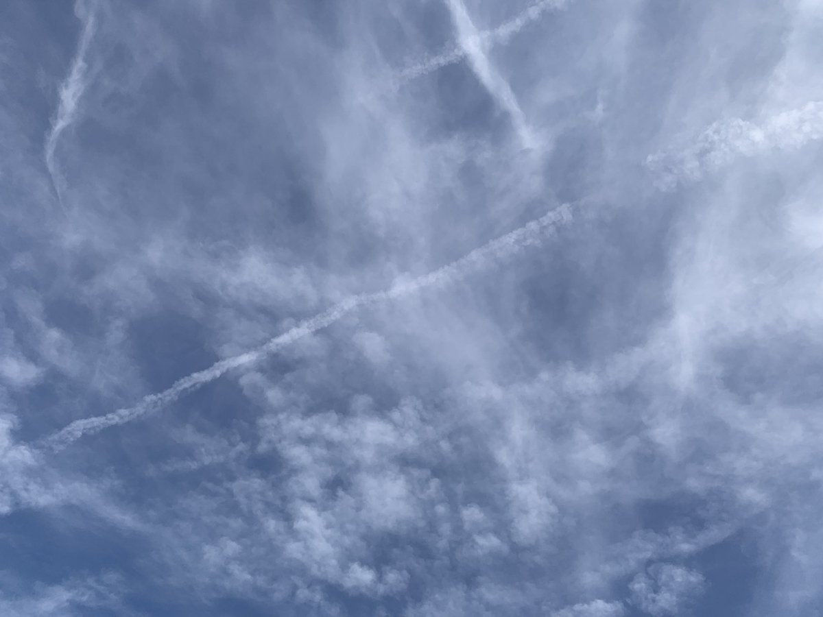 AZ🌵Desert Cowgirl Racer🏜️ tweet media