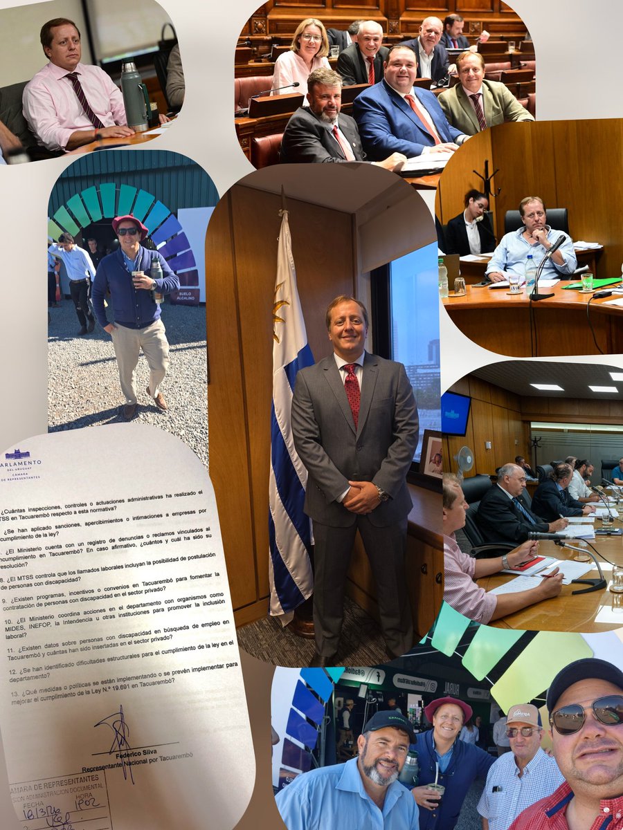 Federico Silva tweet media