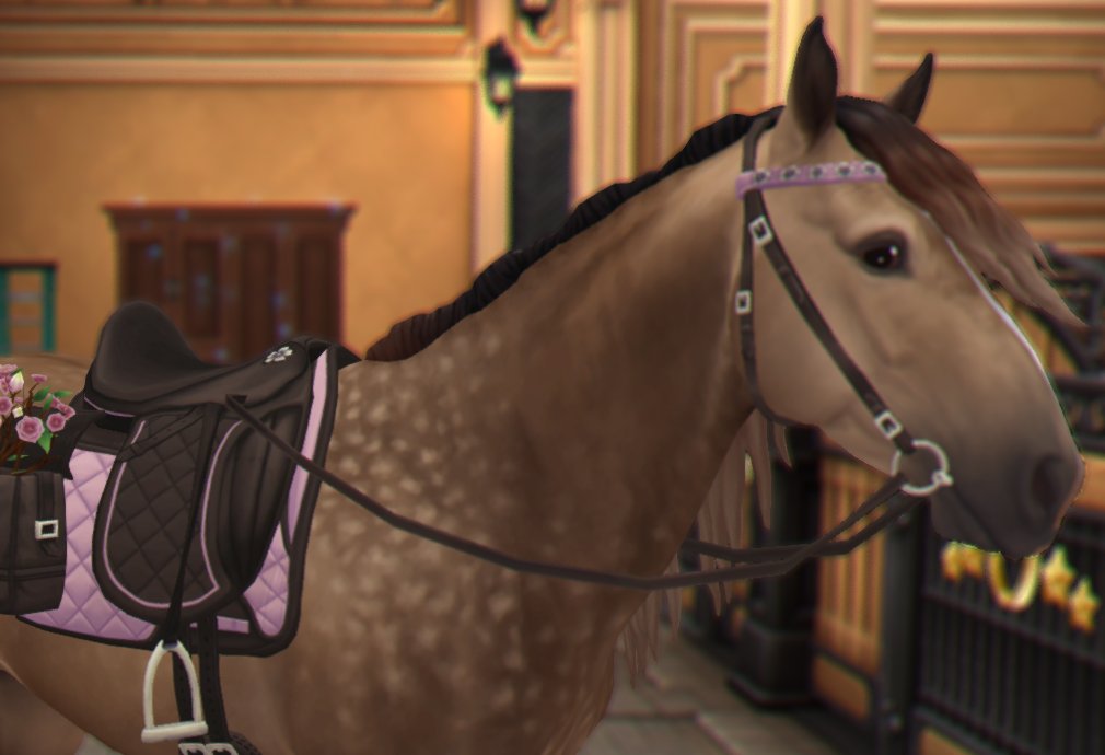 🌈✨FANTASIIIA tweet media