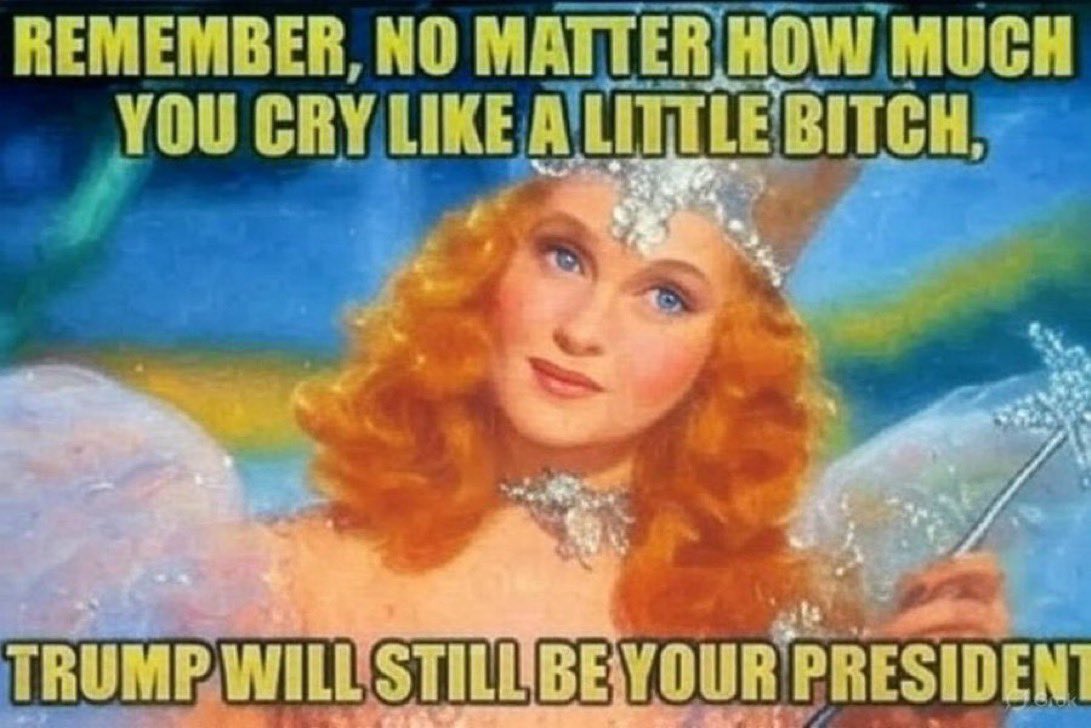 RedwaveDawg tweet media