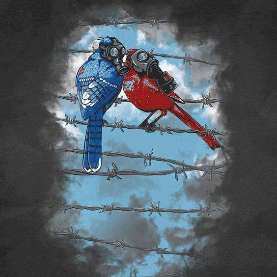 Нина Старостина tweet media