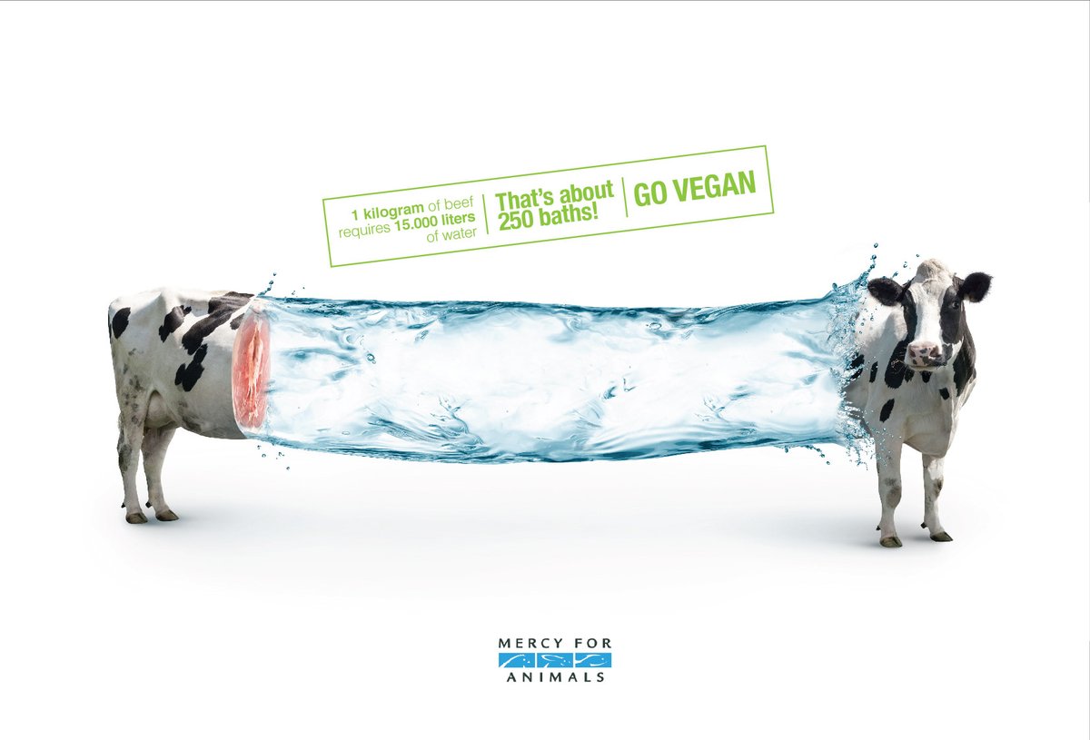 Helena Brors tweet media