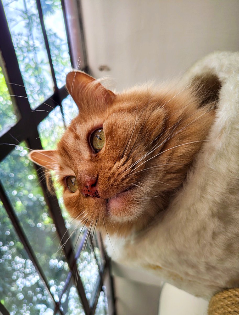 💥Paola💥 tweet media