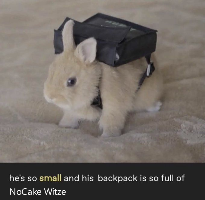 Walhalla ⚒️🐦‍⬛ tweet media