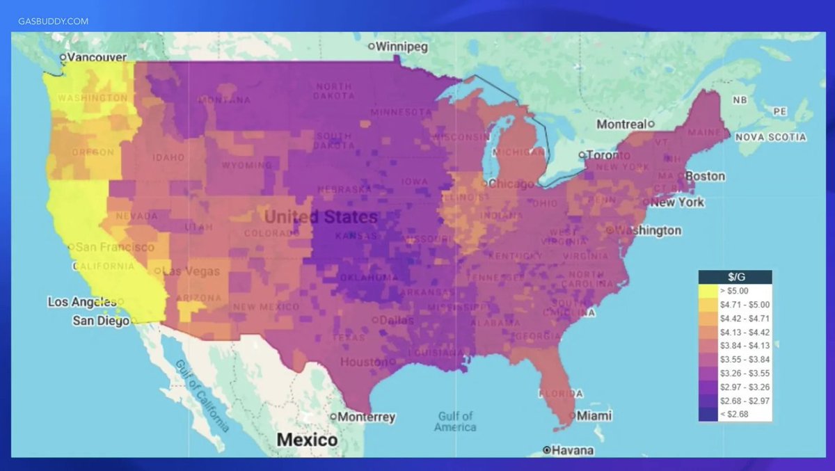 Maria Davidson tweet media