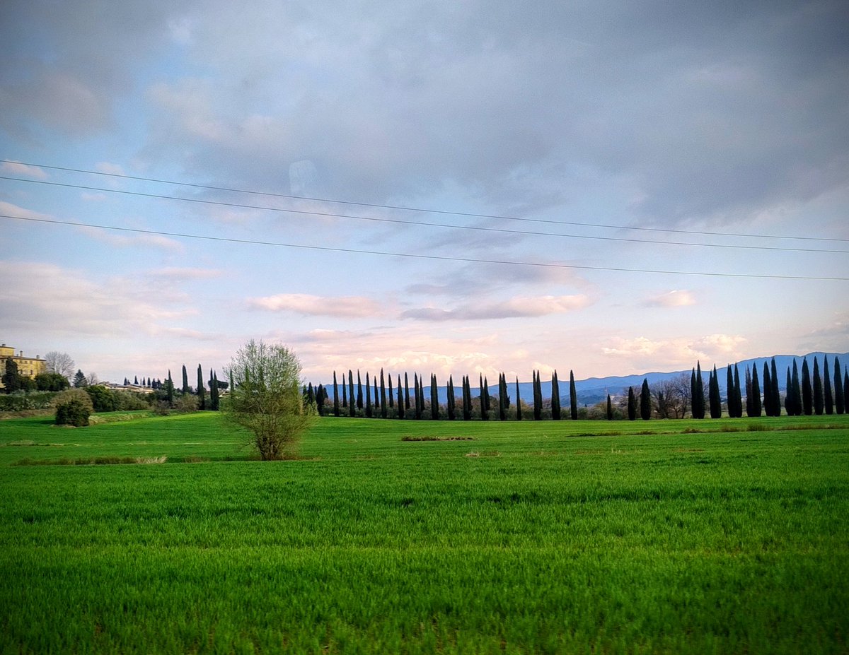 Francesca Coli tweet media