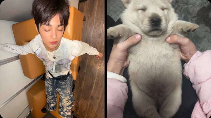 BESERPE. tweet media