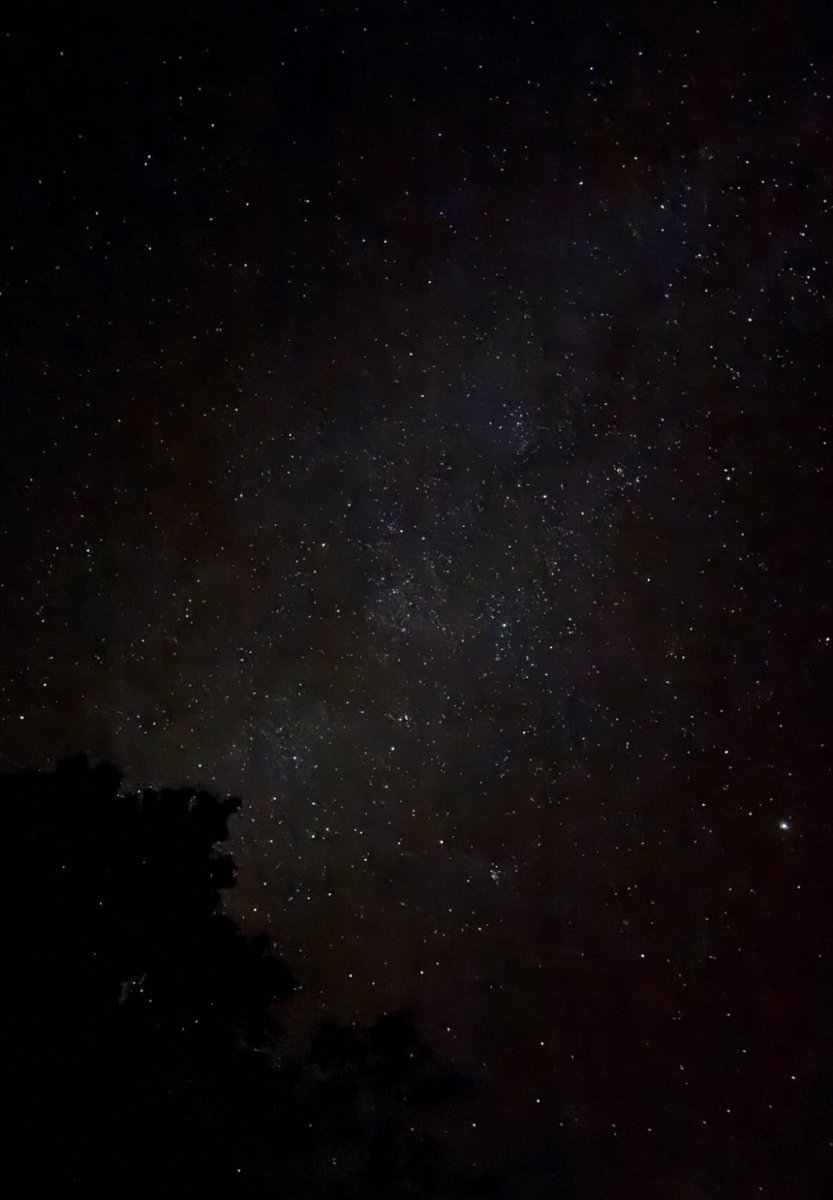 Coraline tweet media