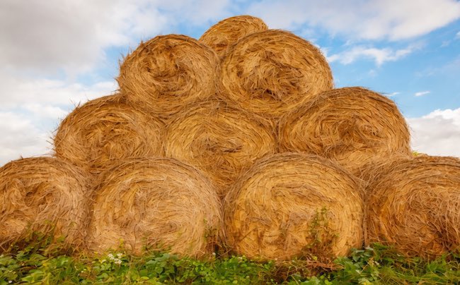 Agroverdad tweet media