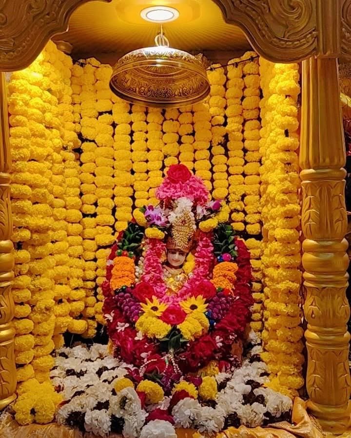 🙏 जय माई की 🙏