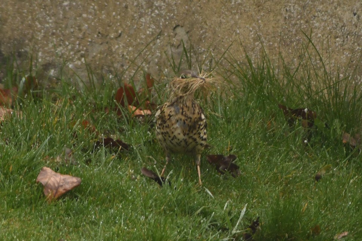 Phil Burnside tweet media