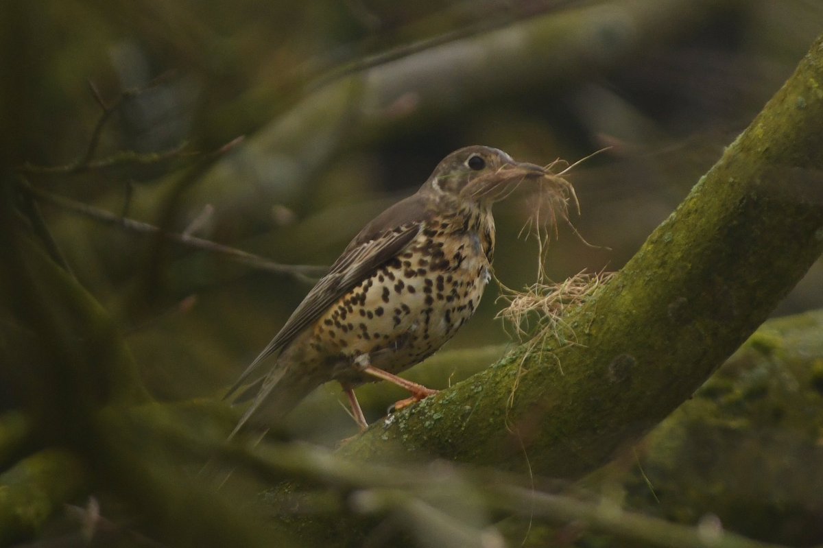 Phil Burnside tweet media