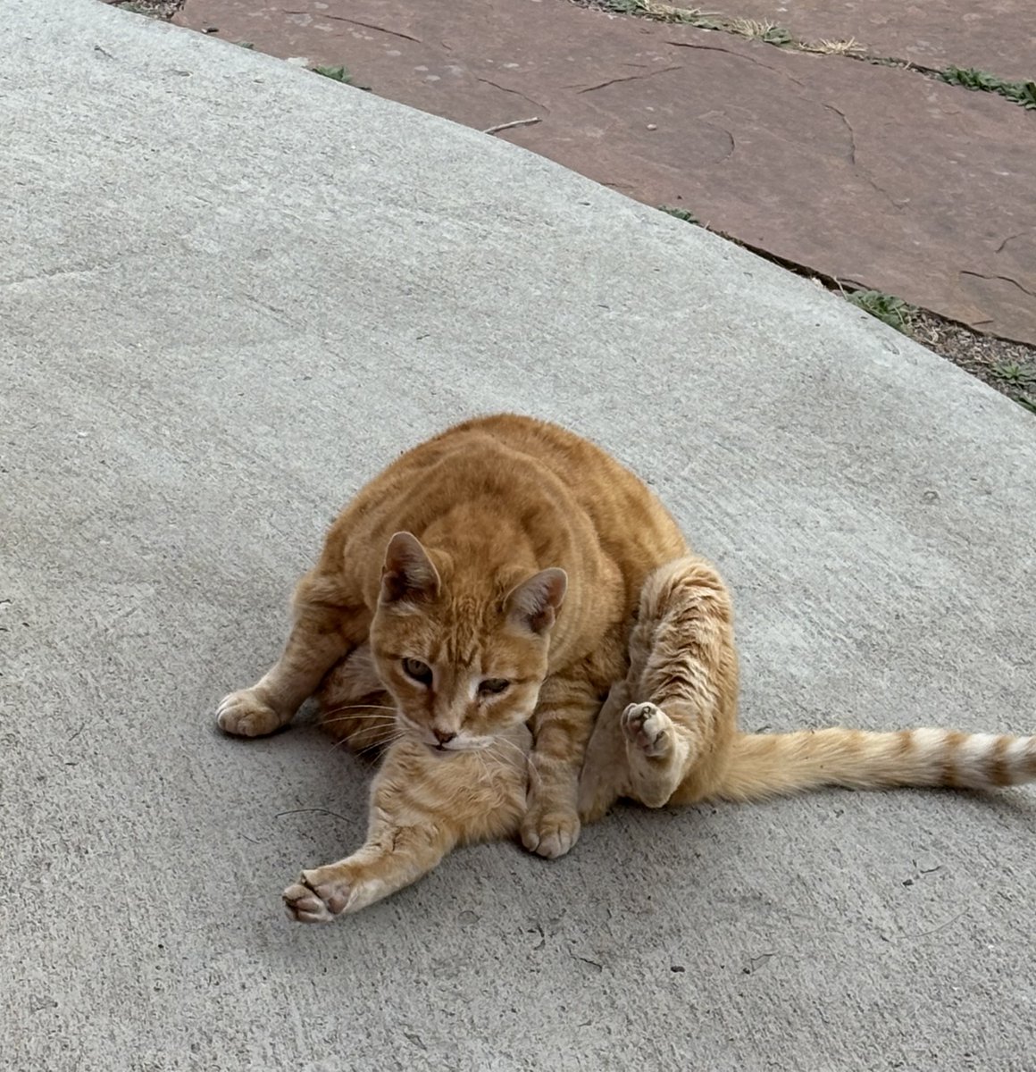 Mark Arnest tweet media