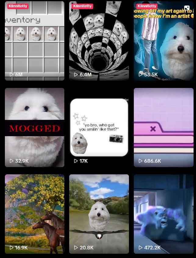 thewizzard tweet media