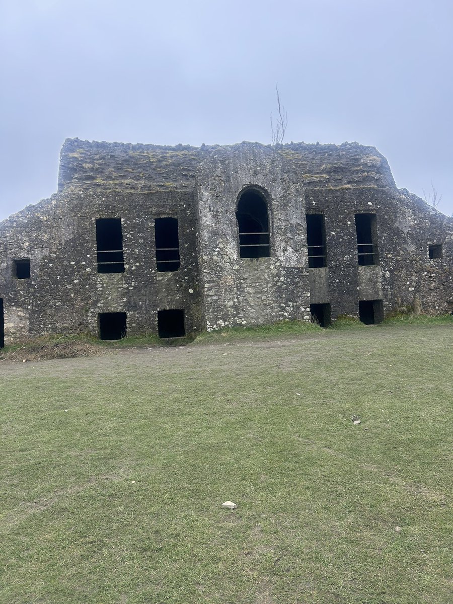 P 🇮🇪 #StandWithUkraine tweet media